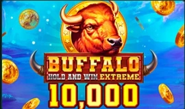 Buffalo Hold and Win