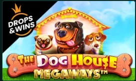 The Dog House Megaways